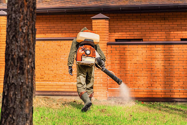 Trusted Termite Control service in Broad Creek, NC - Nex Pest Control